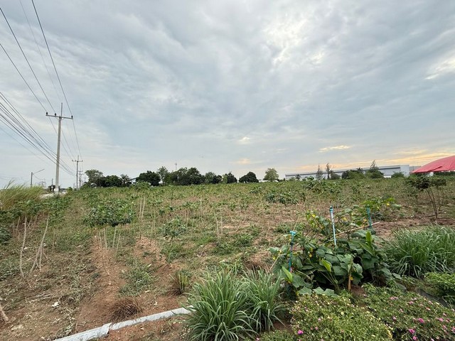 ขายที่ดินศรีราชา หนองขาม แปลงสวย ทำเลดี ติดนิคมปิ่นทอง 1 FP-L01193