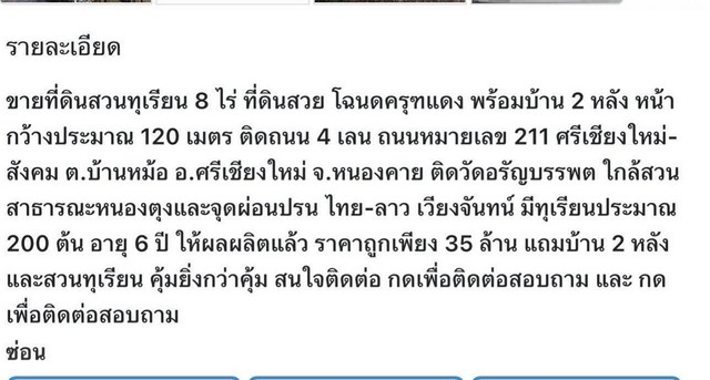 LV53238 ขาย สวนทุเรียน 8 ไร่ หมอนทอง โฉนดครุฑแดง พร้อมบ้าน 2 หลัง หน้ากว้าง 120 เมตร ติดถนน 4 เลน หมายเลข 211