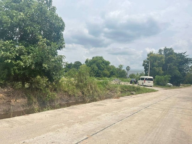 ขายและให้เช่าที่ดินพานทองชลบุรีทำเลทอง พานทอง จ.ชลบุรี ติดแหล่งอุตสาหกรรม และเขตความเจริญ