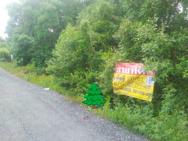 ขายที่ดิน ราคาถูก  100  วา  เทศบาลคลองด่านซ.3  บางบ่อ  สมุทรปราการ   ZT782 