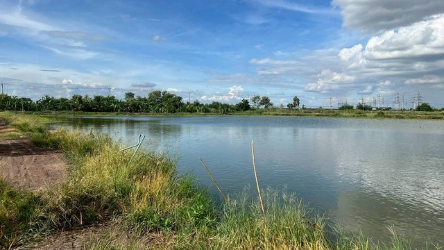 ขายที่ดิน 70 ไร่ 3 งาน 40 ตารางวา ตำบลบางหลวง อำเภอบางเลน จังหวัดนครปฐม