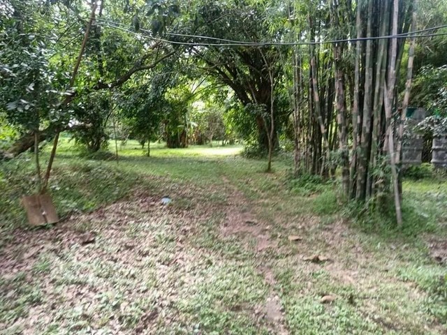 ที่ดินแปลงสวย คูเมืองเก่าเวียงเจ็ดลิน เชิงดอยสุเทพ