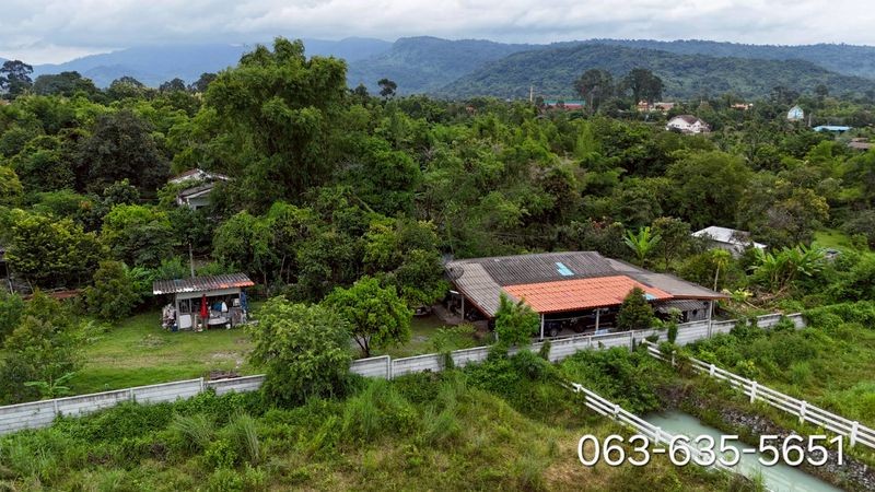 สนใจมาเที่ยวชมโทร ติดต่อ นกได้หลายช่องทางนะคะโทร. 061-494-9665โทร. 063-635-5651 (เบอร์นี้ไลน์เต็มค่ะ)ไลน์ไอดี : @nyland789(ไลน์คลิ๊กแล้วทักมาได้เลยค่ะ) https://lin.ee/R8sP0rj____________________________บ้านสวนผลไม้รวม บนเนินเขา วิวเขาเดียวกับภูตะลึงคาเฟ่257 ตรว. 1.7 ล้าน ต.เขาพระ อ.เมืองนครนายก จ.นครนายกโฉนดครุฑแดงพร้อมโอนบ้านนี้อยู่บนเนินสูงกว่าหลังคาบ้านที่ติดลาดยางเส้นเขาพระ-เขาทุเรียนอีกค่ะรูปที่สี่เหลี่ย