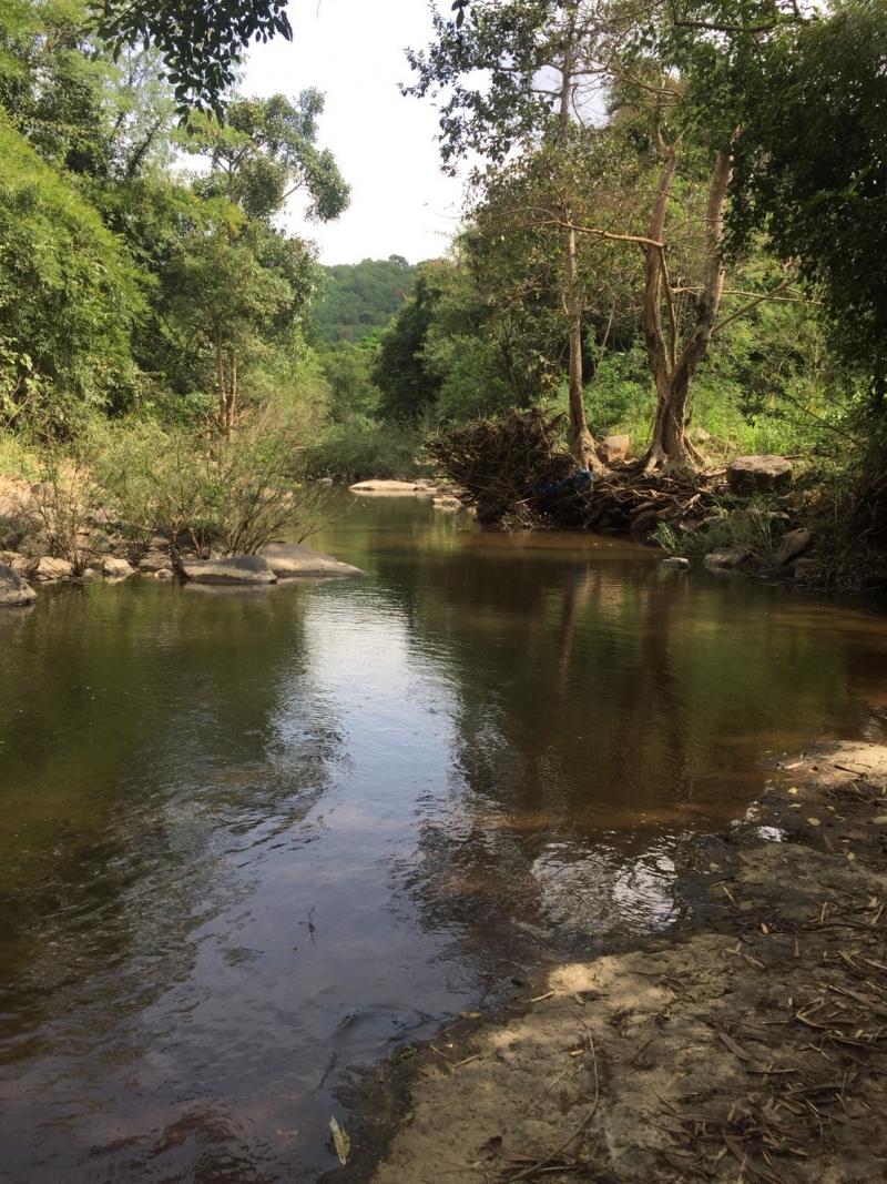 ขายที่ดิน  15-1-58   ไร่  อ.วังน้ำเขียว  จ.นครราชสีมา