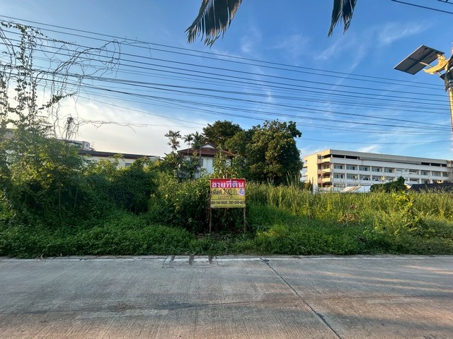 ขายที่ดิน 100 ตารางวา  ซอย ลาดกระบัง 14/1   ใกล้มอเตอร์เวย์   ZJ176 