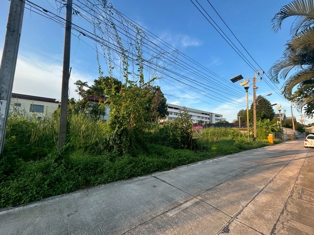 ขายที่ดิน 100 ตารางวา  ซอย ลาดกระบัง 14/1   ใกล้มอเตอร์เวย์   ZJ176