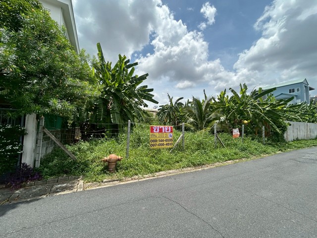ขายที่ดิน 101 ตารางวา  ซอยลาดพร้าว 124 แยก 1  ใกล้แนวรถไฟฟ้าสายสีเหลือง ลาดพร้าว-เทพารักษ์      ZJ173 