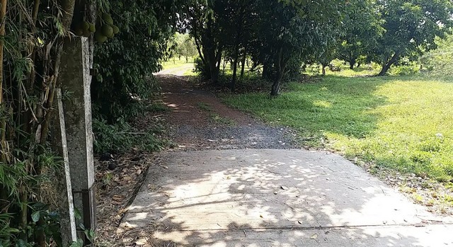 ขายที่ดินเปล่า นครนายก ปากพลี 33 ไร่ หน้ากว้าง เจ้าของรีบ เหมาะทำรีสอร์ท