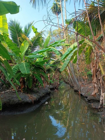 บ้าน ที่ดิน ต.หอมเกร็ด อ.สามพราน จ.นครปฐม 3BEDROOM3น้ำ ขนาด = 5 Rai 0 Ngan 5 ตาราง-วา 27568750 - ไม่ไกลจาก ห่างทางหลวงหมายเลข 3415 (พุทธมณฑล สาย 7 ประมาณ 1.2 กม.) และวัดหอมเกร็ด (หลวงพ่อเพ้ง) 700 ม. HOT DEAL!! ทำเลดี ร่มรื่น และอยู่ท่ามกลางธรรมชาติ ซ