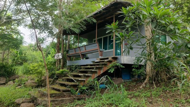 ##ขายที่ดิน 3  ไร่ ติดศูนย์พัฒนาคุณภาพชีวิตผู้สูงอายุ อ.วังน้ำเขียว จ.นครราชสีมาโซน : วังน้ำเขียว   นครราชสีมาที่ตั้ง :  ต.ไทยสามัคคี  อ.วังน้ำเขียว  จ.นครราชสีมาลักษณะโดยทั่วไป- ที่ดินเปล่า ทำเลสวย ใกล้ชิดธรรมชาติ- เนื้อที่  3  ไร่, ติดศูนย์พัฒนาคุณภาพชีวิตผู้สูงอายุ วังน้ำเขียว- ใกล้ชุมชน, บรรยากาศร่มรื่น, สวย น่าอยู่อาศัย- แปลงสวย  ด้านหลังเป็นภูเขา เหมาะสำหรับพัก