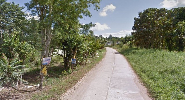 ที่ดิน ที่ดิน เขาค้อ เพชรบูรณ์ 1232 ตร.วา  ไม่ไกลจาก ห่างจาก 3 แยกทุ่งสมอ 1.4 กม. ออกแบบลงตัว