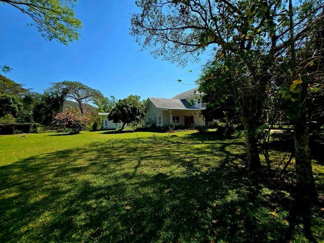 บ้านสวน เนื้อที่เยอะ ขายพร้อมผู้เช่า ลวงเหนือ ดอยสะเก็ด