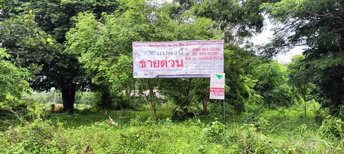 2508ACL2035 ขายที่ดิน2 ไร่ หน้ากว้าง 30 เมตร ลึก 111 เมตร ภายในที่ดินปลูกต้นยางนา และ ต้นพะยูงไว้ และขุดบ่อเลี้ยงปลาไว้ 1 บ่อ ทำเลดี อยู่ใกล้ชุมชน อยู่ระหว่างบ้านดอนกอก-บ้านกุดขมิ้น เหมาะกับการทำที่อยู่อาศัย, บ้านสวน, รีสอร์ท หรือการเกษตร2508ACL2035 Land for sale 2 rai, width 30 meters, depth 111 meters, within the land planted rubber and rosewood trees and digging 1 fish pond, good location, near the community Between Ban Don Kok - Ban Kut Khamin Suitable for housing, garden house, resort or agriculture..ที่ตั้งทรัพย์ :  ต.สูงเนิน อ.สูงเนิน 