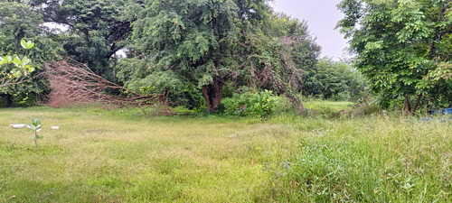 ที่ดิน2 ไร่  บ้านดอนกอก-บ้านกุดขมิ้น ต.สูงเนิน อ.สูงเนิน จ.นครราชสีมา