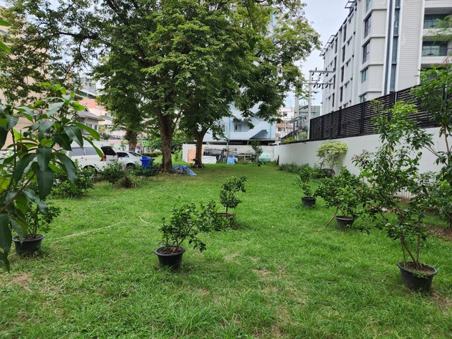 HR2814ให้เช่าบ้านเดี่ยว 5 ชั้น ซอยทองหล่อ 25 บ้านแนวคลาสสิค เหมาะทำโฮมออฟฟิศ หรืออยู่อาศัย