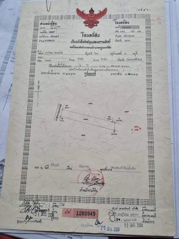 ขายบ้านพร้อมที่ดิน อำเภอเมือง จังหวัดชุมพร เนื้อที่ 2 ไร่ 1 งาน 57 ตารางวา โฉนดครุฑแดง