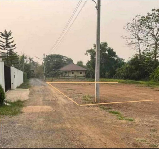 ขายที่ดินเปล่า100ตรว.ลดเหลือ 700,000บ. ฟรีโอน ถนน น้ำประปา ไฟฟ้า ต.แม่ปูคา อ.สันกำแพง เชียงใหม่