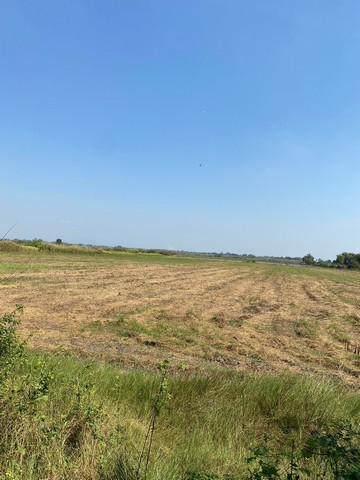 ขายที่ดิน7-3-31 ไร่  คลอง15 หน้าติดถนน   หลังติดคลองบางบัวใหญ่ บางปลากด  องครักษ์  นครนายก   ZY250