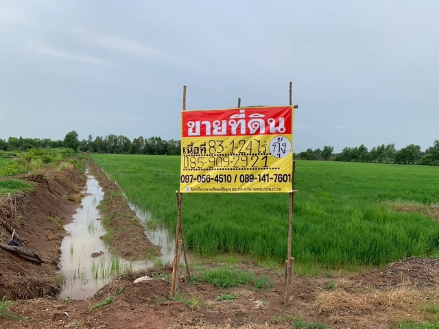 ขายที่ดินผืนใหญ่ 83 ไร่ 1 งาน 24 ตร.ว.  ท่างาม   ทำเลดี ใกล้ตัวเมืองปราจีนบุรี 