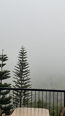 ขายที่ดินสวยวิวเขา  ขนาดตั้งแต่ 2 งาน – 100 ไร่   อำเภอเขาค้อ เพชรบูรณ์