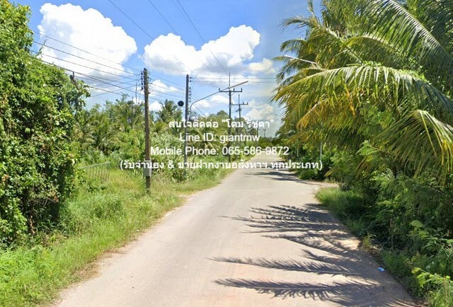 ที่ดิน ที่ดิน พร้อมสวนเกษตร (สวนยาง+มะพร้าว) ต.ชัยบุรี อ.เมืองพัทลุง จ.พัทลุง 2988 sq.wa  4500000 บาท ไม่ไกลจาก วัดวิหารสูง, วัดมะกอกเหนือ และโรงเรียนวัดมะกอกใต้ N I C E!