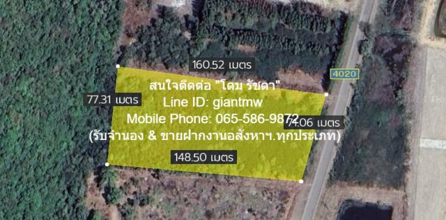 ที่ดิน ที่ดิน สามร้อยยอด  ราคาต่ำกว่าตลาด ติดเขา, ติดถนน และไม่ห่างจากชายทะเล (อากาศดีตลอดปี)