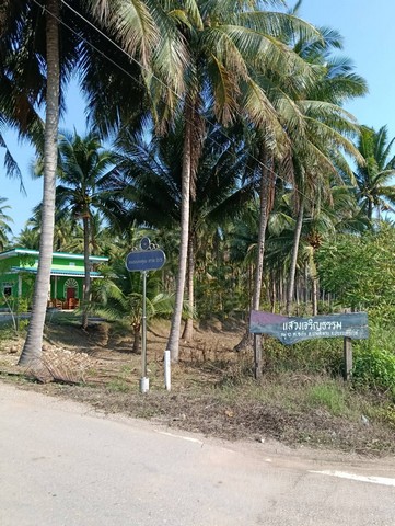 ขายที่สวนยางยกแปลง โฉนดครุฑแดง 5 ไร่ 30 ตารางวา ประจวบคีรีขันธ์ที่ตั้ง : ตําบลธงชัย อําเภอบางสะพาน จังหวัดประจวบคีรีขันธ์ 77190https://maps.app.goo.gl/1JYpBXigk6kZnJgN7ขนาดที่ดิน : 5 ไร่ 30 ตารางวารายละเอียดที่สวนยางยกแปลง ที่โฉนดครุฑแดง 5 ไร่ 30 ตรว. พร้อมยางเต็มพื้นที่ กรีดได้ 100%ที่ไม่ต้องถม อนาคตจัดสรรแบ่งขาย หรือทำบ้านเช่าหรือขายได้ติดถนนสาธารณะประโยชน์สถานที่ใกล้เคียง - ติดบ้านจ่าป้าน