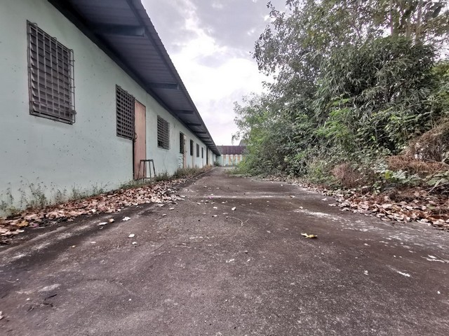 ขาย โรงงาน 2 ชั้น ท่ามะกา จังหวัด กาญจนบุรี PTT00375