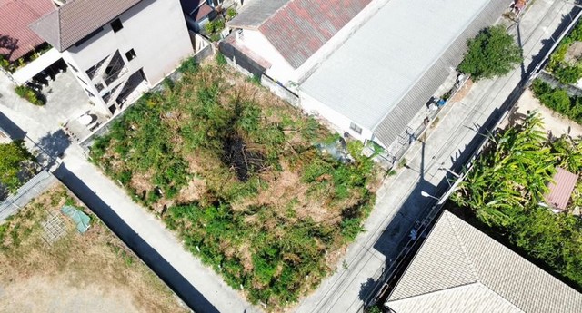 ขายที่ดินเปล่าพัทยา แปลงสวย ทำเลดี ซอยวัดธรรมสามัคคี บางละมุง ชลบุรี FP-L01217