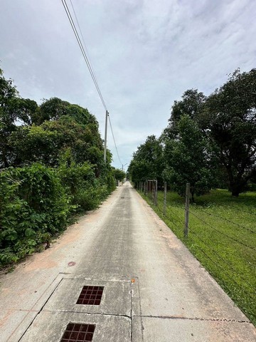 ขายที่ดินแปลงสวย ใจกลางเมืองศรีราชา เส้นอัสสัมชัญ เลียบทางรถไฟ TP-L1560