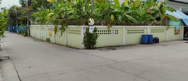 ขาย ที่ดินแปลงสวย 101 ตารางวา ทำเลเด่นย่านสะแกงาม 30 ทะลุเลียบด่วนกาญจนา บางขุนเทียน พระราม 2