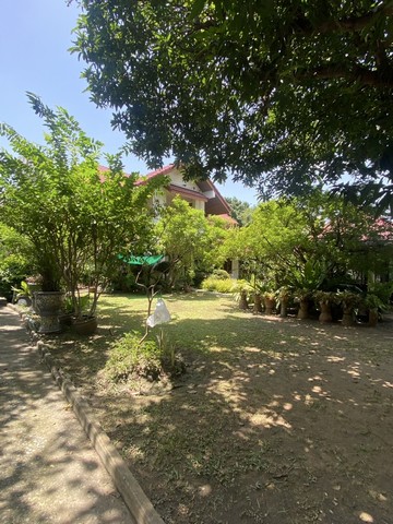 ขายด่วนที่ดิน พร้อมบ้าน 2 หลัง  ซอย แจ้งวัฒนะ ปากเกร็ด 17 ถ. แจ้งวัฒนะ จ. นนทบุรี