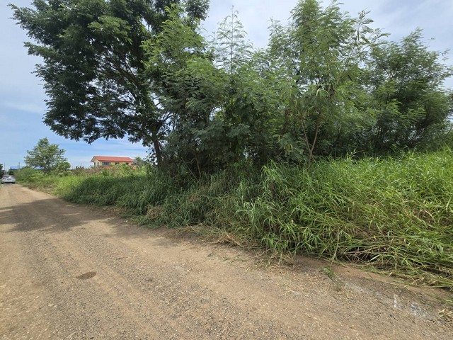 ขายที่ดินเปล่า คลองห้า ปทุมธานี ใกล้พิพิธภัณฑ์วิทยาศาสตร์ เหมาะสร้างบ้าน 100 ตร.ว