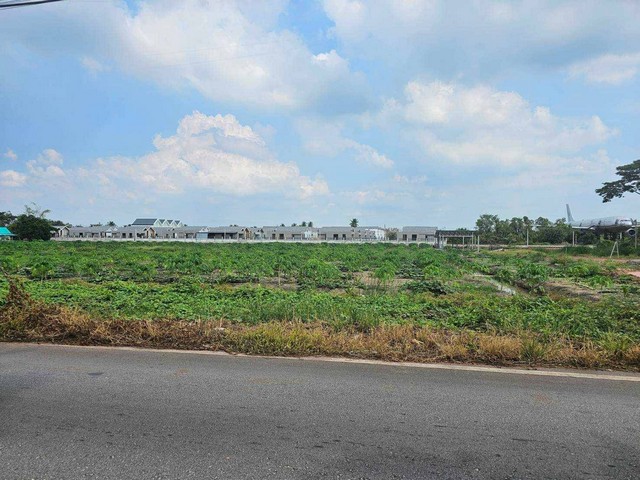 ขายที่เปล่าติดถนนหลักห้า อำเภอดำเนินสะดวกราชบุรีบรรยากาศดีมาก ต.ศรีสุราษฎร์ อ.ดำเนินสะดวก จ.ราชบุรี