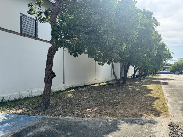 ให้เช่าอาคารโรงงาน/โกดัง/คลังสินค้า พื้นที่ใช้สอย 1,152 ตร.ม (24 x 48 ) ออฟฟิศ  ถนนเทพารักษ์ ก.ม 12 คลองขุด