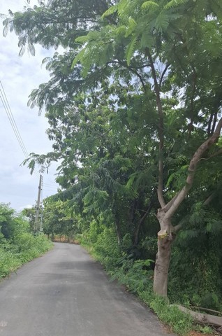 ขายที่ดินถมแล้วบางส่วน ติดถนนสาธารณะ 2 ด้าน ต.แกลง อ.เมือง จ.ระยอง