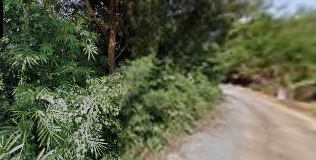 ที่ดิน ที่ดิน เชียงคาน จ.เลย ขนาดพื้นที่ 19 RAI 1 ngan 74 ตรว.  35080500 บาท น่าอยู่มาก เลย