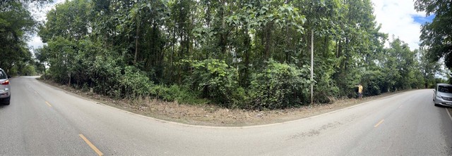 ที่ดิน ที่ดิน เชียงคาน จ.เลย พื้นที่ =  13 Rai 2 งาน 40 ตาราง.วา 28420000 BAHT. ใกล้ ห่างถนนคนเดินเชียงคาน 3.5 กม. บรรยากาศส่วนตัว มีต้นไม้ใหญ่ร่มรื่น และอยู่ไม่ไกลจากถนนคนเดินเชียงคาน 3.5 กม.