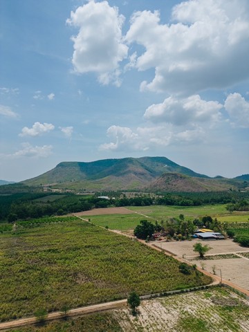 ที่ดิน ที่ดิน หนองหญ้าปล้อง จ.เพชรบุรี ราคาดีเยี่ยม เพชรบุรี