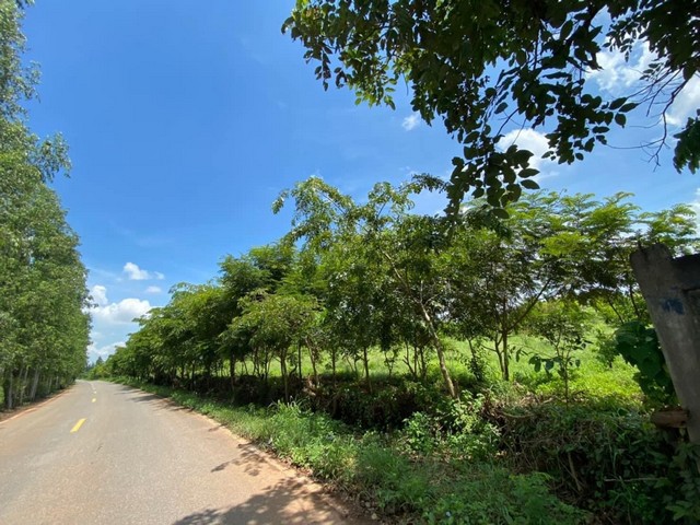 พื้นที่ดิน ที่ดิน ศรีมหาโพธิ ปราจีนบุรี 94 ตาราง-วา 2 Ngan 130 RAI  78440700 thb ใกล้กับ สวนอุตสาหกรรม 304 ลดกระจาย ปราจีนบุรี