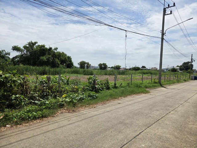 ขายที่ดินถมแล้ว  คลองหลวง ปทุมธานี # ใกล้ห้างฟิวเจอร์ปาร์ครังสิต ทั้งหมด 12 แปลง เนื้อที่ 60 - 65 ตารางวาต่อแปลง