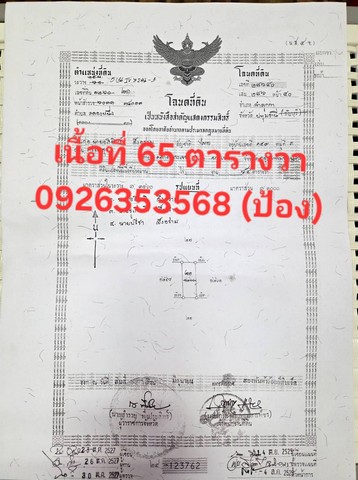 ขายที่ดินถมแล้ว  คลองหลวง ปทุมธานี # ใกล้ห้างฟิวเจอร์ปาร์ครังสิต ทั้งหมด 12 แปลง เนื้อที่ 60 - 65 ตารางวาต่อแปลง