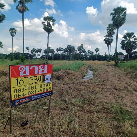 ขายที่ดิน ราคาถูก ทำเลดี  16-3-0 ไร่  ติดร้านขนมจีนก้ามปู   วัดจันทร์  เมืองพิษณุโลก   ZK542