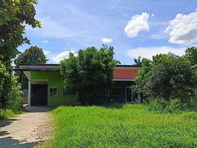 ขาย บ้านเดี่ยว ชั้นเดียว  ในเมือง บ้านไผ่ ขอนแก่น PTT13406