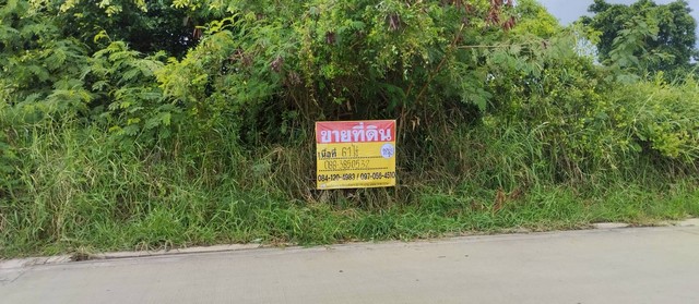 ขายด่วน! ที่ดินแปลงใหญ่ 61 ไร่ ทำเลทองย่านประชาอุทิศ 76 คลองสวน เหมาะทำโครงการจัดสรรหมู่บ้านจัดสรร   ZTK281