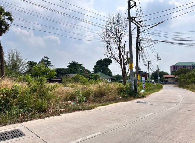 ขายที่ดิหนองไม้แดง ชลบุรี ทำเลทอง การเดินทางสะดวก ใกล้แหล่งชุมชน FP-L01228 