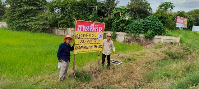 ขายที่ดิน 3-1-0 ไร่  ราคาถูก ทำเลดี  บ้านคลอง ต.วัดจันทร์ อ.เมือง จ.พิษณุโลก