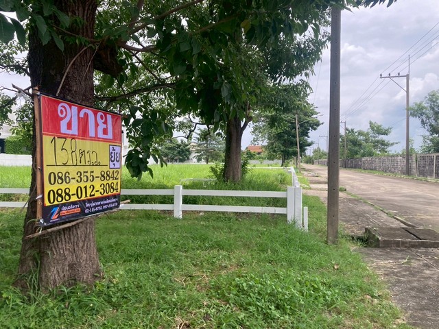 ขายที่ดินเปล่า  138 ตารางวา  หมู่บ้านสารินปาร์ค คลองห้า ถนนรังสิต-นครนายก   ธัญบุรี    ZT804 