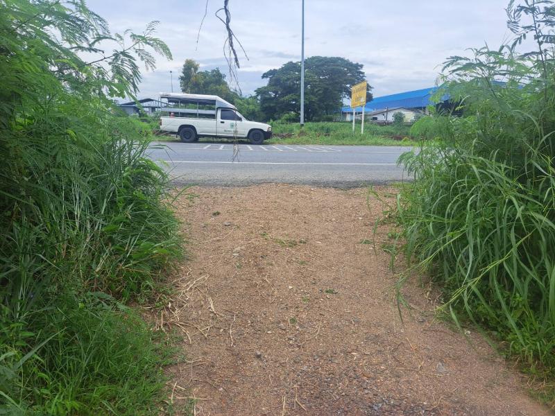 ขายที่ดินเปล่า ทำเลดี คลอง 14 หนองเสือ จังหวัดปทุมธานี