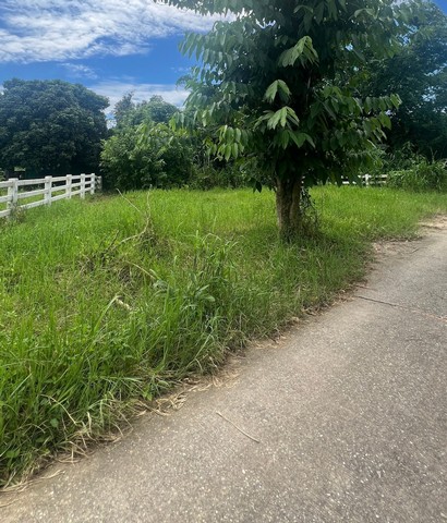 ขายที่ดิน 65ตรว. 490,000บาท ฟรีโอน วิวเขา ถนนคอนกรีต น้ำประปา ไฟฟ้า ใกล้ถนนสันกำแพง-แม่ออน ต.ออนใต้ อ.สันกำแพง เชียงใหม่